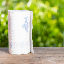 נייר מגבת/צץ רץ