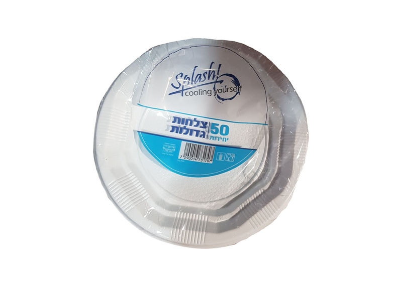 צלחות גדולות פשוטות